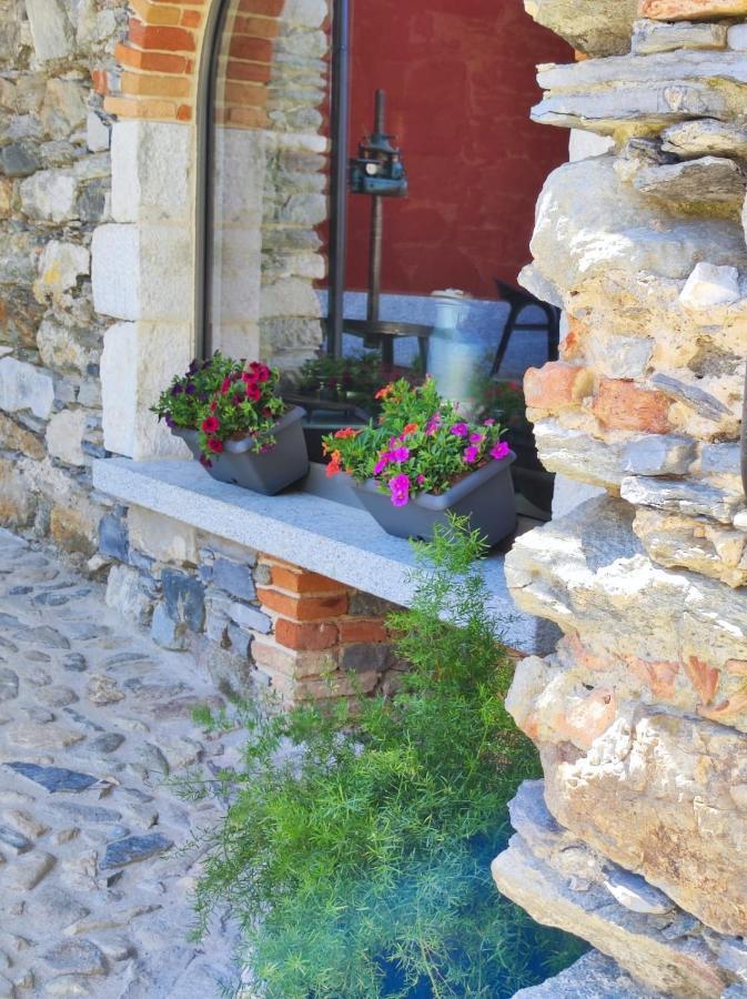 Agriturismo Il Medeghino Musso Eksteriør billede