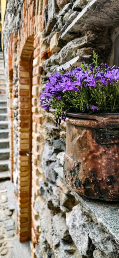 Agriturismo Il Medeghino Musso Eksteriør billede